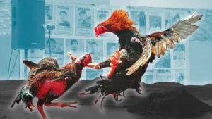 Hướng Dẫn Chơi Đá Gà Sabong Tại BK8 Thắng Lớn Mỗi Ngày