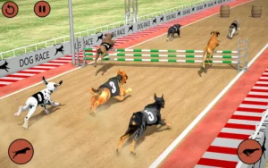 Khám Phá Cách Chơi Game Nhanh Đua Chó Tại BK8 Thắng Lớn