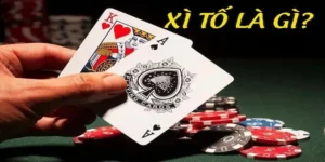 Bí Quyết Chinh Phục Xì Tố Tại BK8 Đỉnh Cao Trong 5 Phút